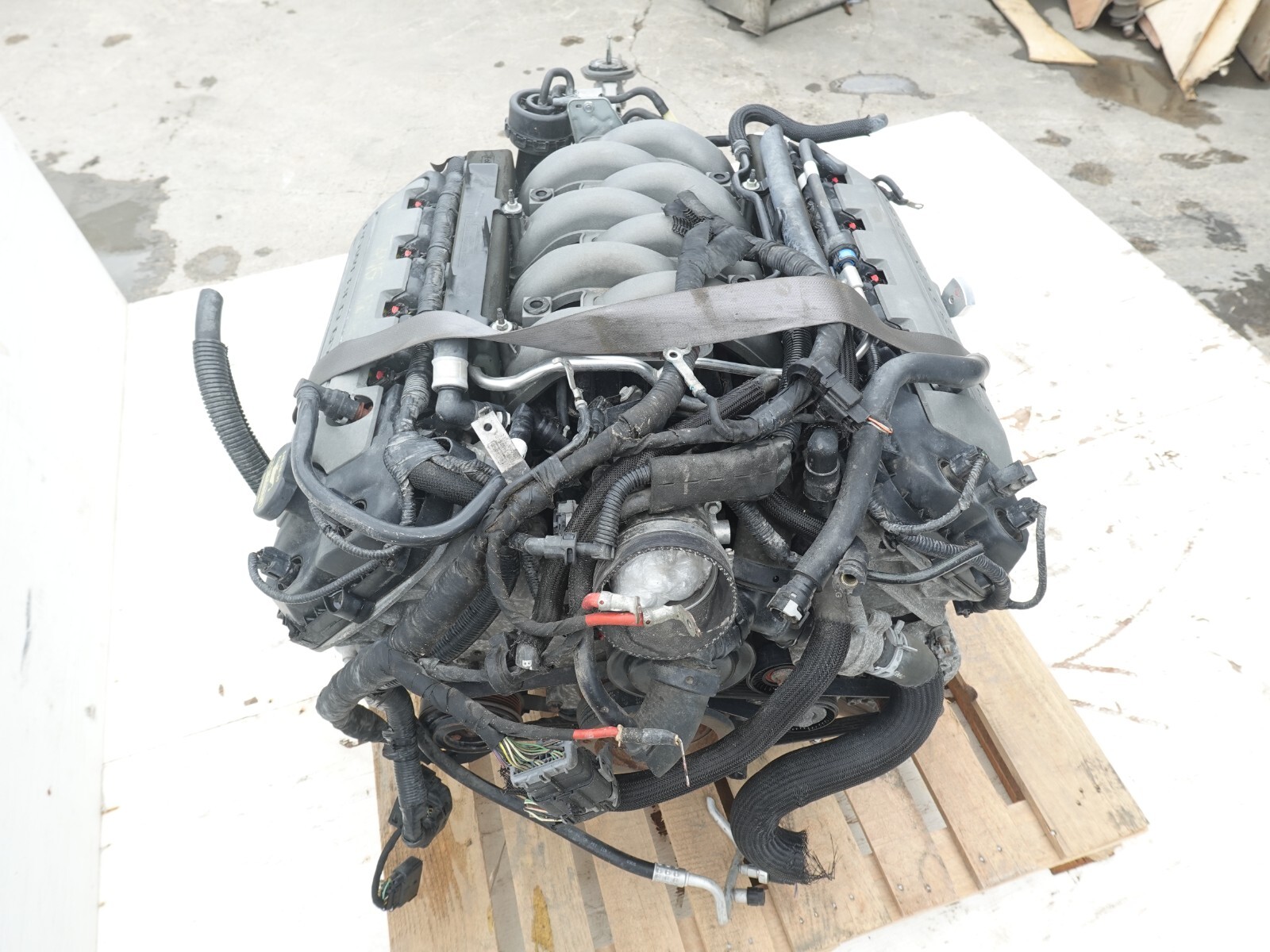Ford Mustang GT V8 5.0L Coyote Gen2 Engine – Bild 3