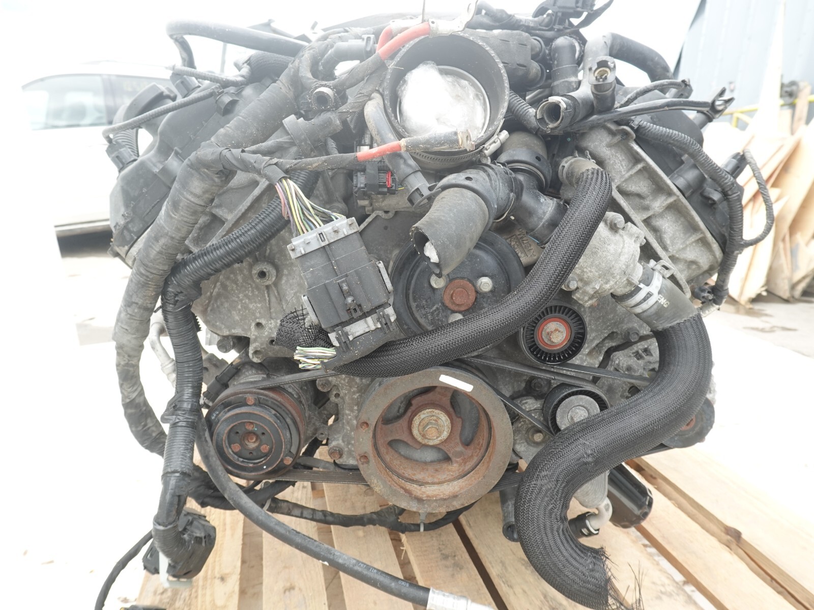 Ford Mustang GT V8 5.0L Coyote Gen2 Engine – Bild 5