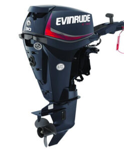 2018 Evinrude E-TEC 30 HP E30DGTL Outboard Motor